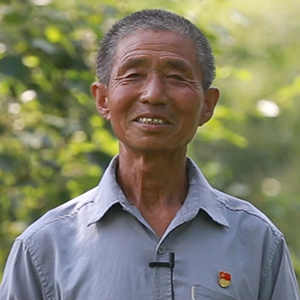 我用二十年时间造出一片林