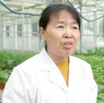 重庆有哪些外来入侵物种？如何防控？