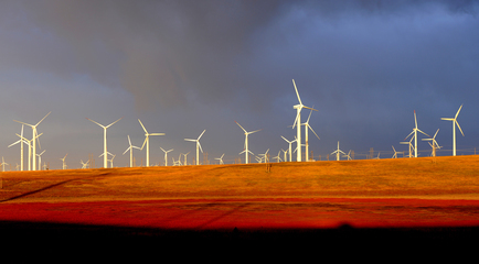 风电上网电价下调的背后