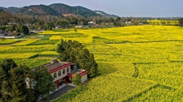 非凡十年丨四川:在新征程上奋力谱写治蜀兴川新篇章