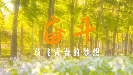 二十大时光｜奋斗，放飞青春的梦想