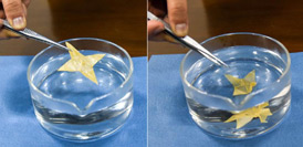 塑料片遇热变&ldquo;千纸鹤&rdquo; 我国科学家发明新型形状记忆塑料