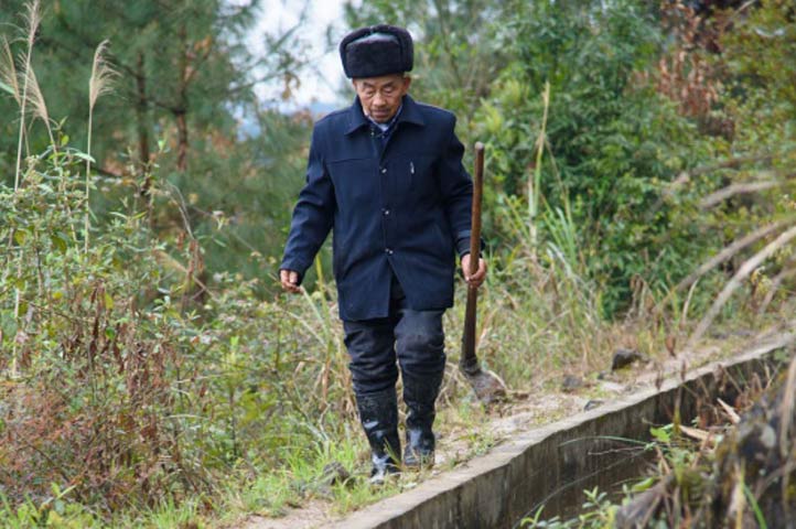 “党员带起头，大家一起干”