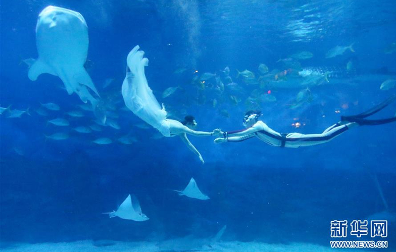 水下婚礼秀 浪漫迎七夕