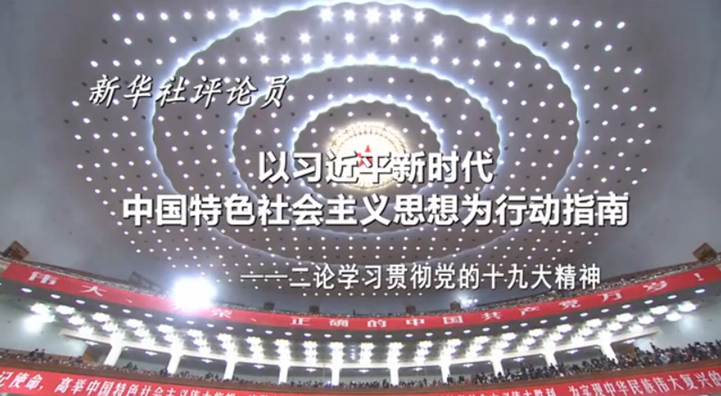 以习近平新时代中国特色社会主义思想为行动指南