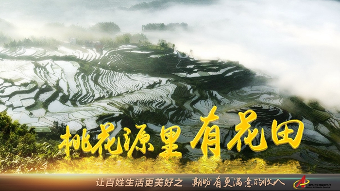 “期盼有更满意的收入”—— 桃花源里有花田