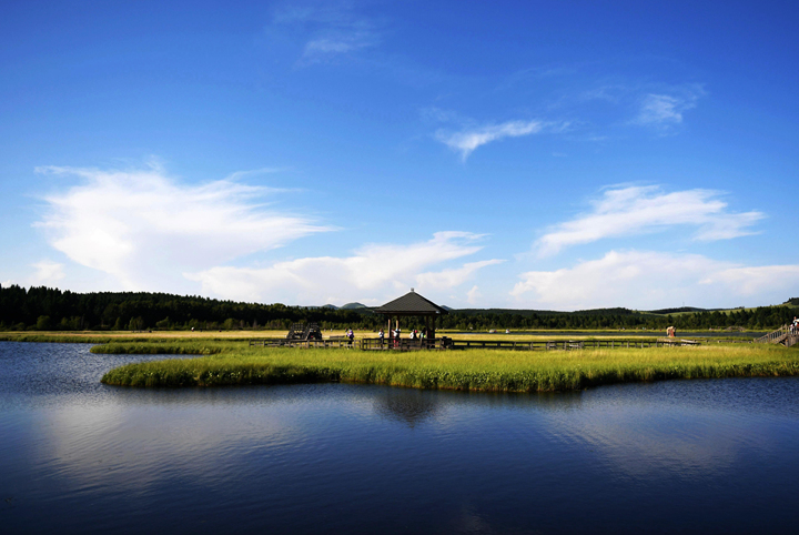 辛识平：为普通人的奋斗点赞
