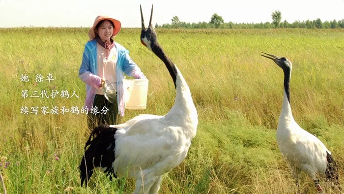 徐卓：他们都走了，但我从不害怕