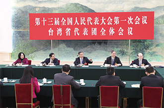 汪洋参加台湾代表团审议