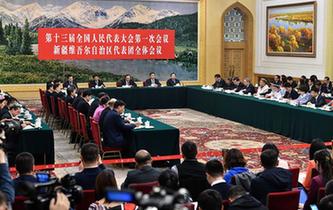 新疆代表团全体会议向媒体开放
