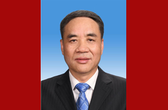 中国人民政治协商会议第十三届全国委员会副主席辜胜阻