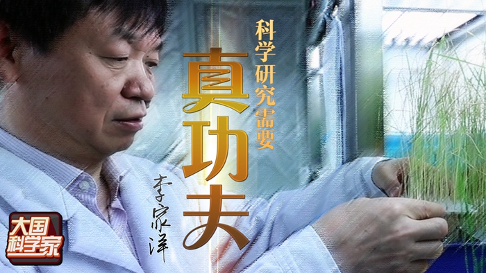 未来，大米可以实现个性化定制？