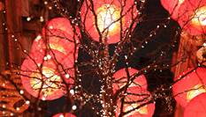 夜游灯火吉祥红