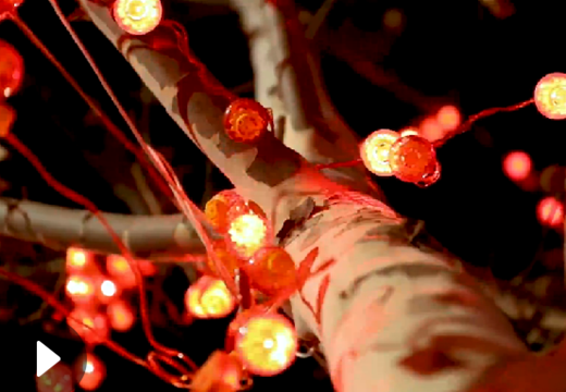 元宵节｜今夜，你将和谁一起度过？