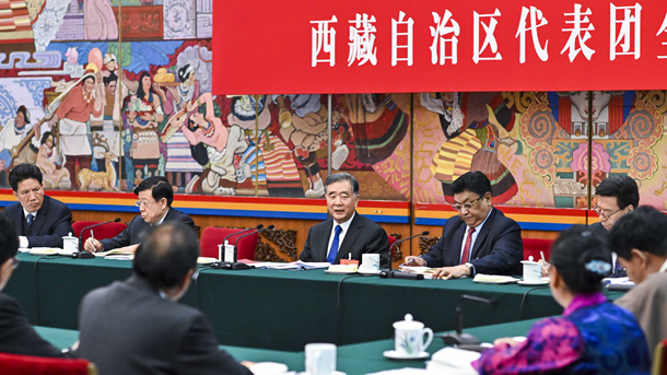 汪洋参加西藏代表团审议