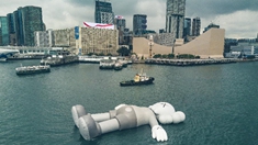 维港漂来一只&ldquo;大灰仔&rdquo;