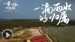 一滴雨水的归属