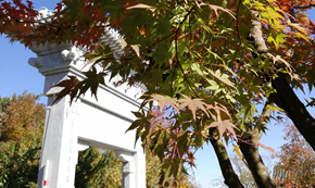 八月十五日夜湓亭望月