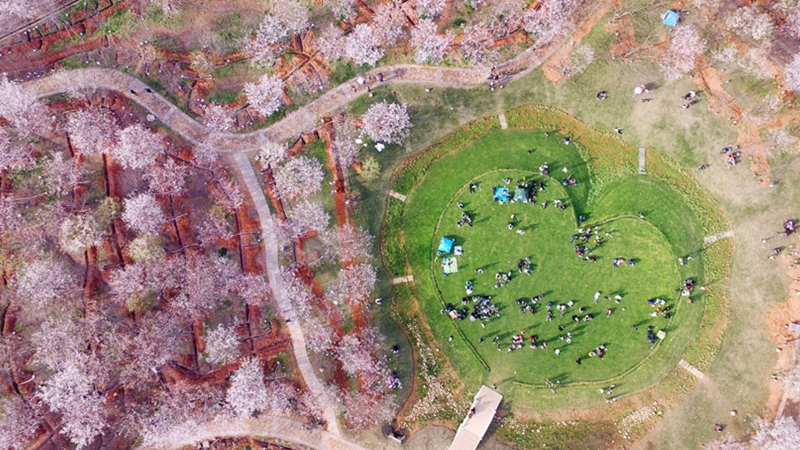 生态中国&middot;空中长卷