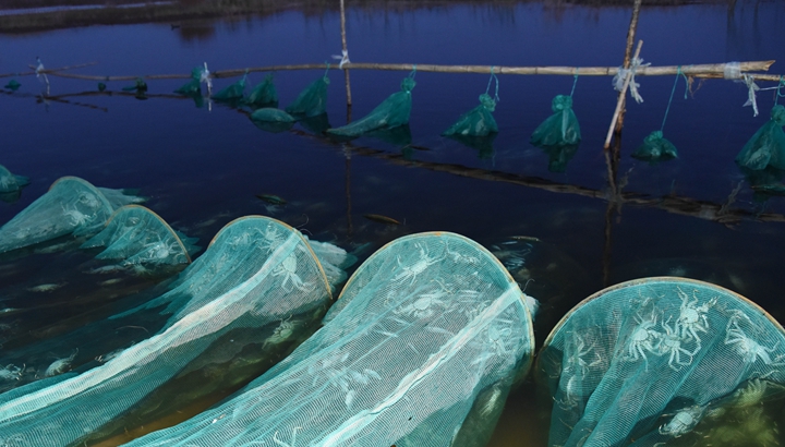 水润民心——全国农村饮水安全攻坚成效观察