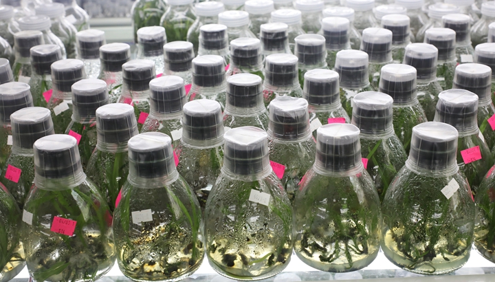 “科技秀才”给田野带来新希望