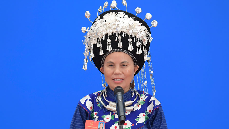 全国人大代表石丽平接受采访