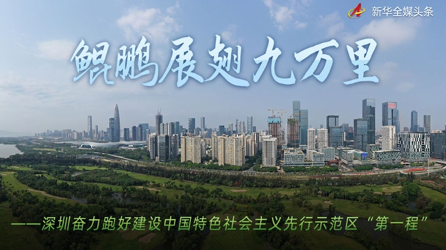跑好&ldquo;第一程&rdquo;，深圳交出亮眼成績單！