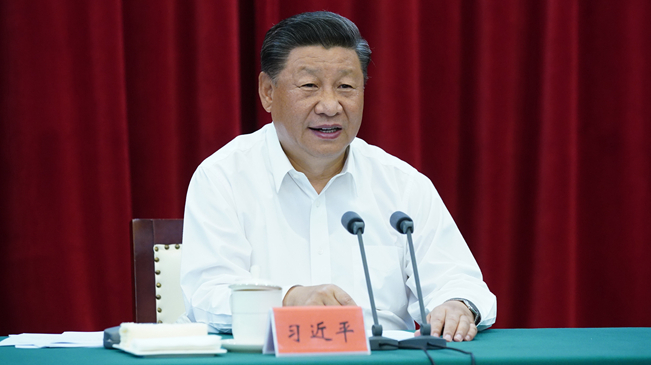 習近平主持召開扎實推進長三角一體化發展座談會並發表重要講話