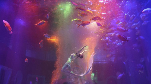 哈尔滨极地馆花样迎中秋