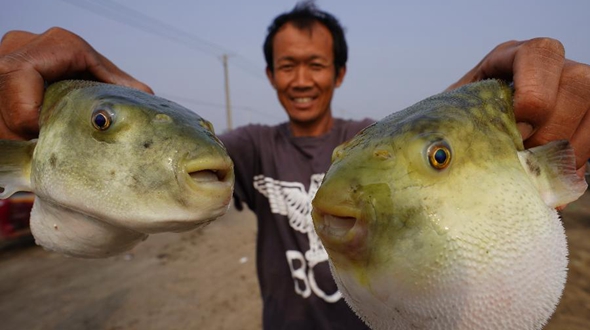 &ldquo;中秋&rdquo;蟹肥虾鲜鱼香时