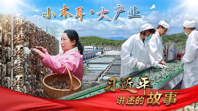 習近平講述的故事｜小木耳&middot;大産業