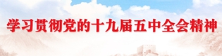 學習貫徹黨的十九屆五中全會精神