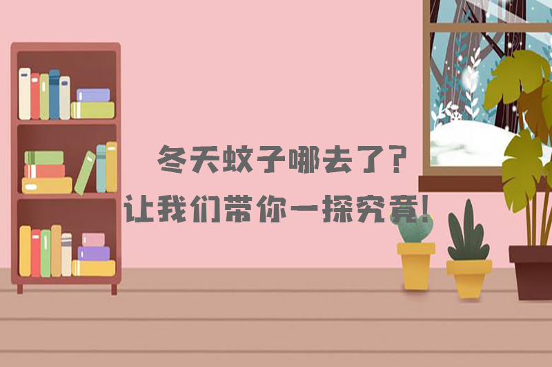 冬天蚊子哪去了？让我们带你一探究竟！