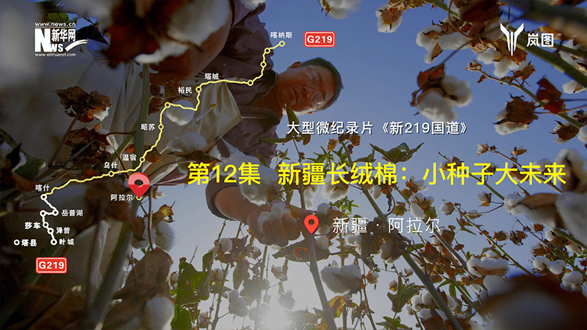 大型微紀錄片《新219國道》第12集 新疆長絨棉：小種子大未來