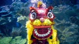 吉隆坡：水中舞獅賀新年