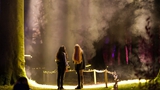 比利时：浪漫灯光秀“点亮”城堡花园
