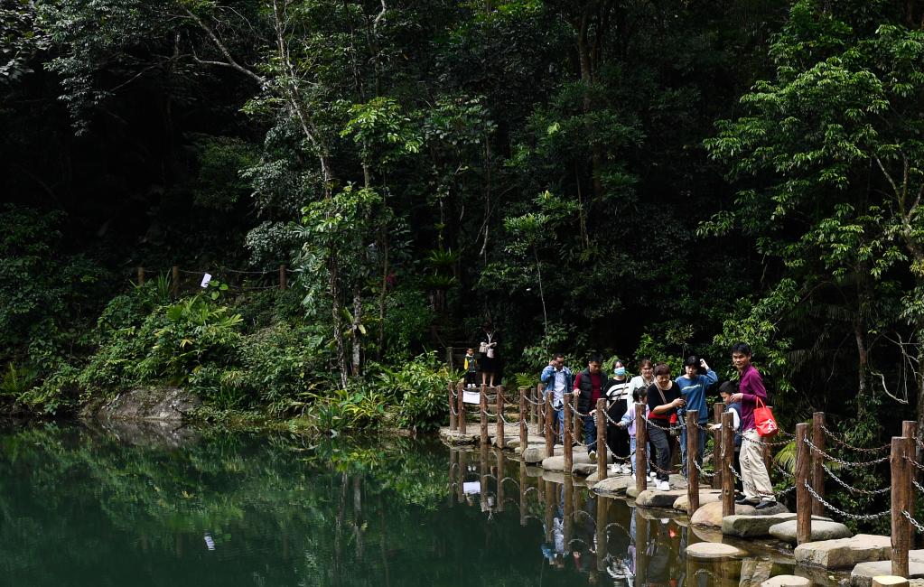 海南琼中:雨林风光引游人