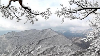 在中国古诗词里，寻找&ldquo;雪容融&rdquo;