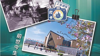 这朵&ldquo;花&rdquo;，盛放&ldquo;三线&rdquo;火红如初