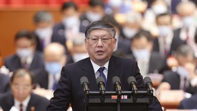 刘新成代表政协十三届全国委员会常务委员会作提案工作情况的报告