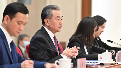 国务委员兼外交部长王毅回答中外记者提问