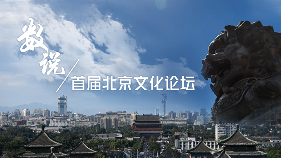 数说首届北京文化论坛