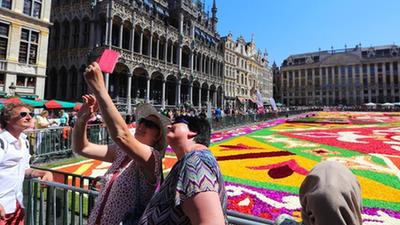 比利時布魯塞爾舉行第22屆“鮮花地毯”節