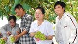 新华全媒+｜丰收季走进乡村&ldquo;直播间&rdquo;