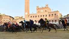 意大利錫耶納舉行賽馬節