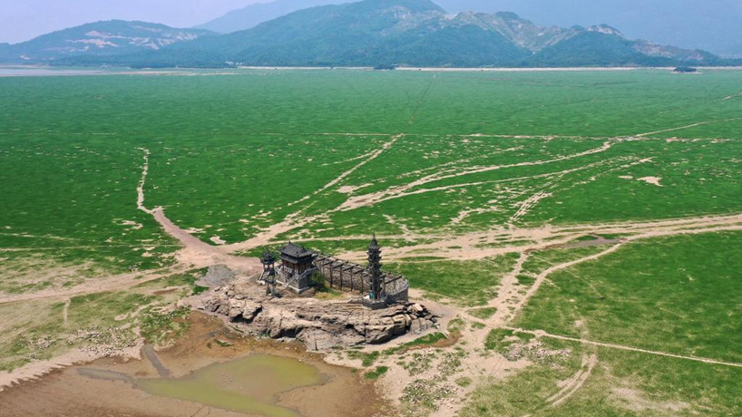 “千方百計把水送到田裏”——環鄱陽湖抗旱保豐收見聞