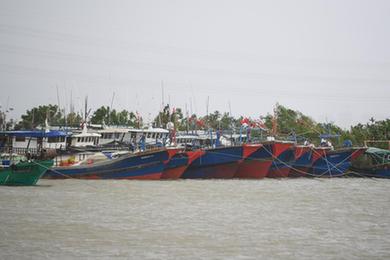 新华全媒+丨台风&ldquo;马鞍&rdquo;登陆广东