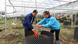 好日子都是靠奮鬥來的