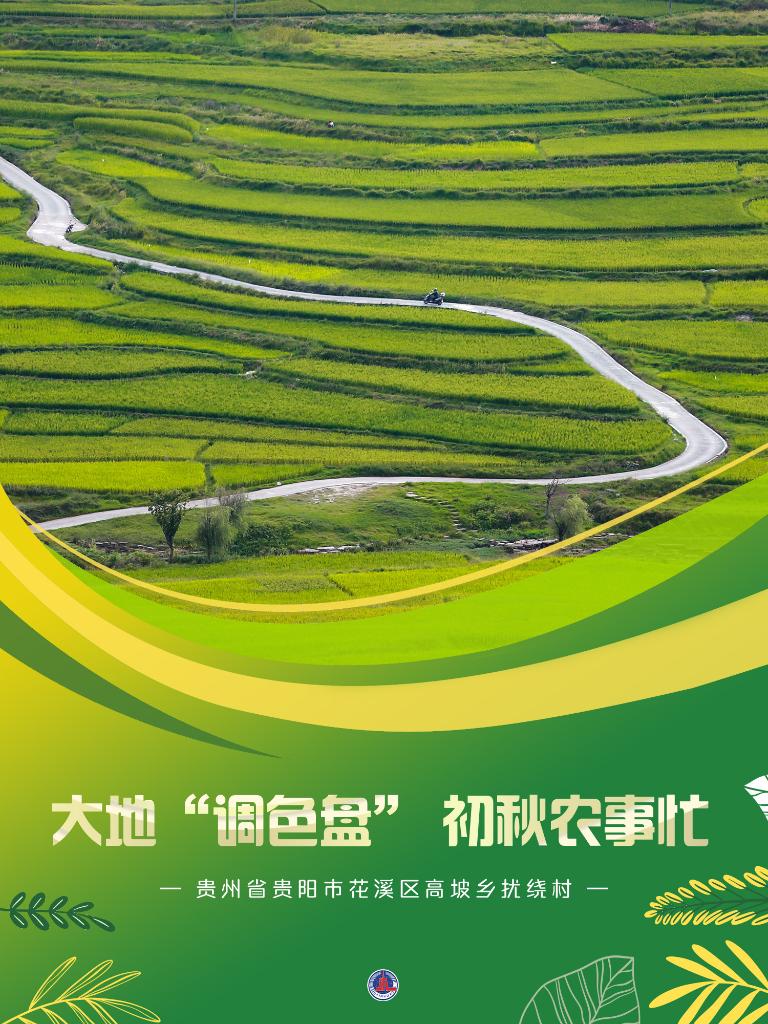 新华全媒+丨大地“调色盘” 初秋农事忙