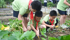 農場勞動開啟&ldquo;開學第一課&rdquo;